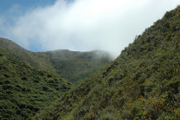 Soberanes Canyon 064.jpg